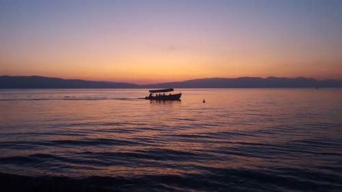 Apartments Villa Boris