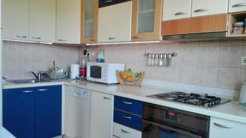Apartment Vladan