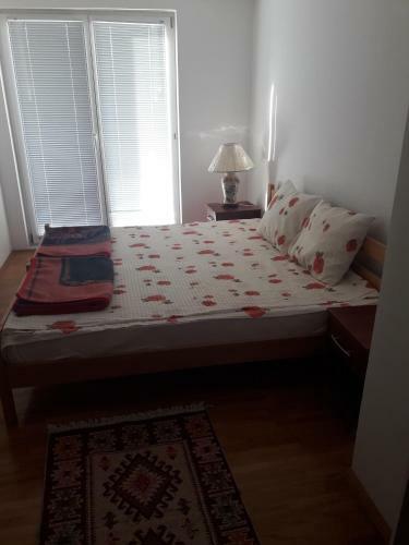 Hostal Vila Delfin