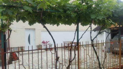 Apartments Struga