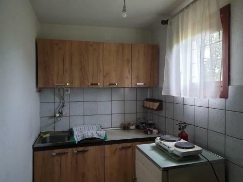 Danica House