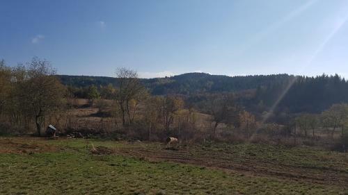 Hostel Trnovski Vetar