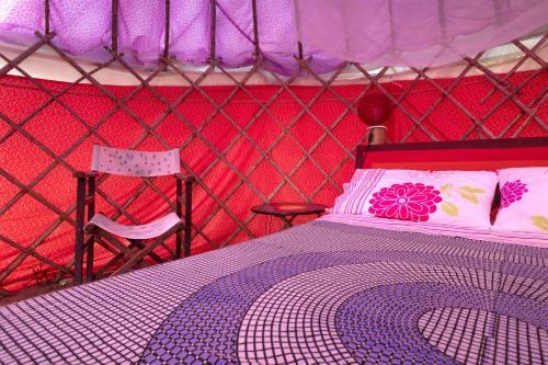 La Pacha Hostel