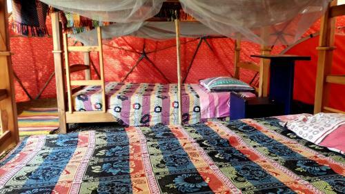 La Pacha Hostel