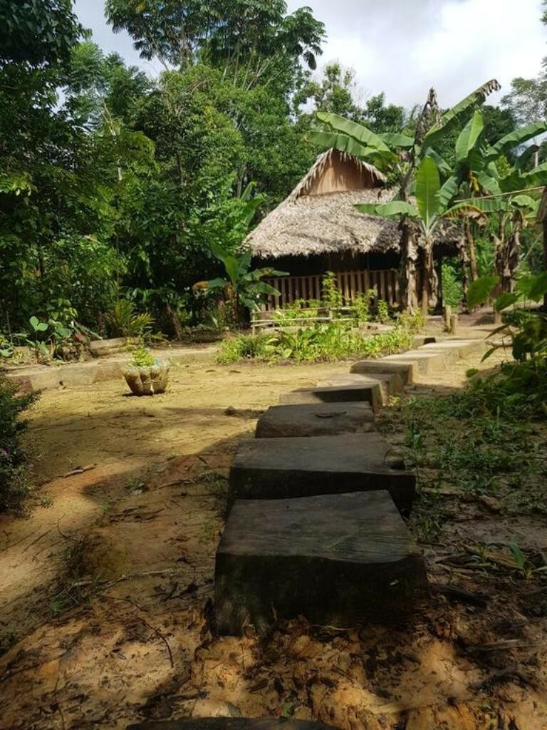 Hotel Omshanty Jungle Lodge