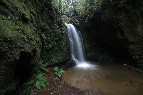 Centro Ecotur�stico Caba�as Never�a