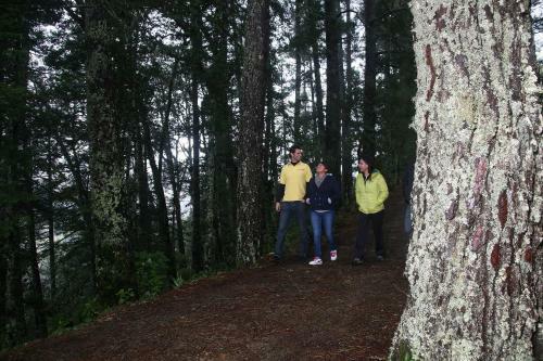 Centro Ecotur�stico Caba�as Never�a