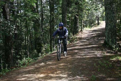 Centro Ecotur�stico Caba�as Never�a