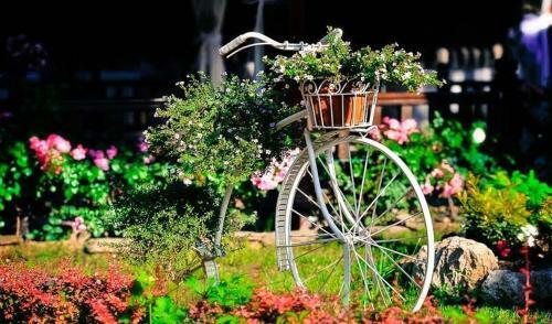 Hostal Konak Nestor Bungalows