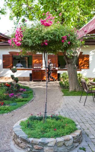 Hostal Konak Nestor Bungalows