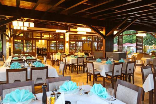 Hotel Gogov