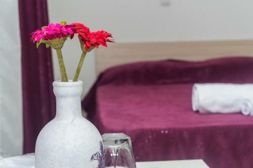 Bed & Breakfast Delikates