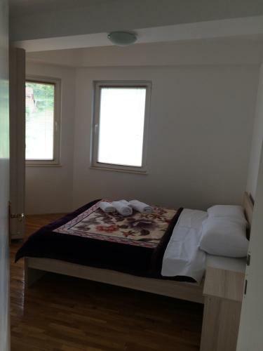 Lake View Apartment