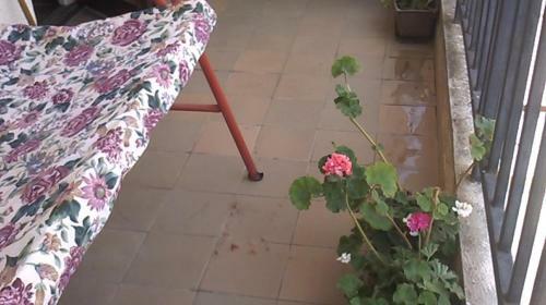 Apartamento Apt Mari Ohrid