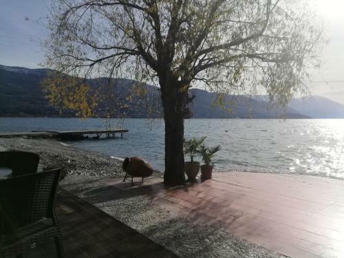 Apartivana Ohrid
