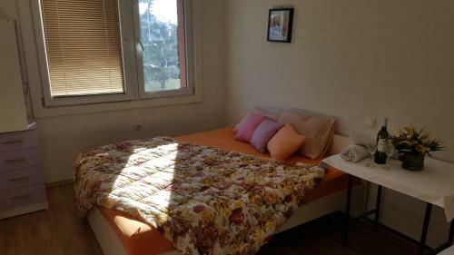 Hostal Vila Dule