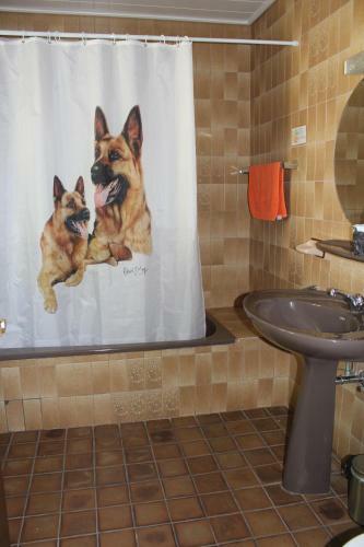 Muppentrupp Hundehotel B&B