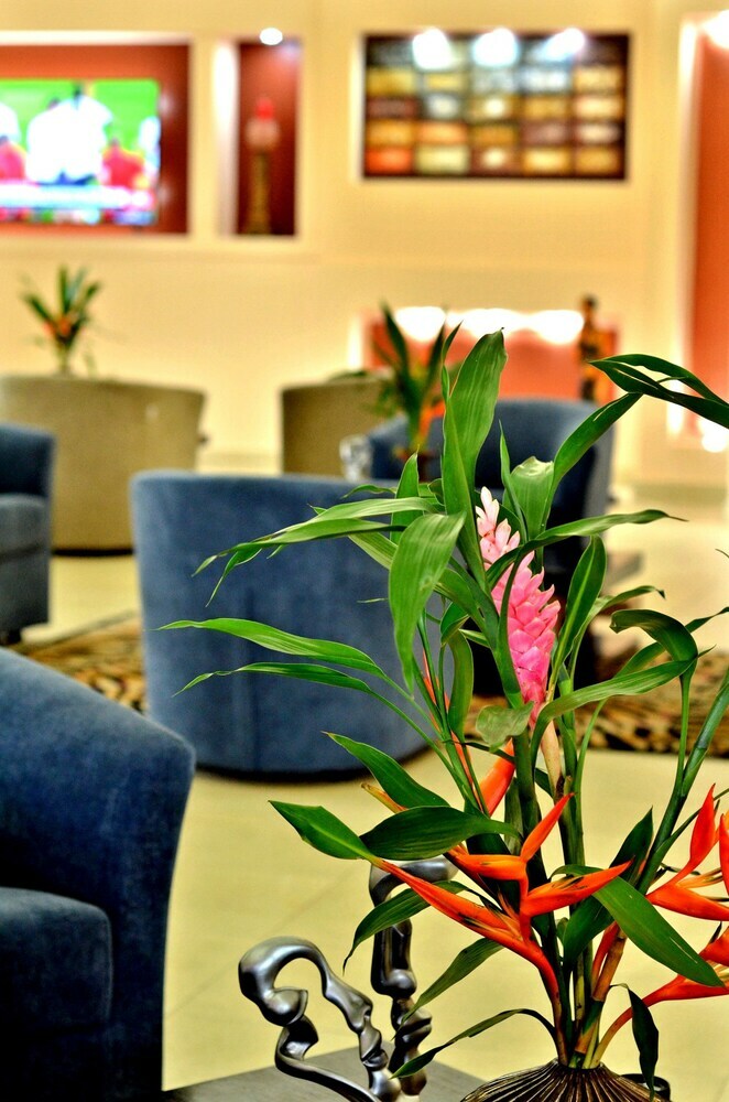 The Cape Hotel