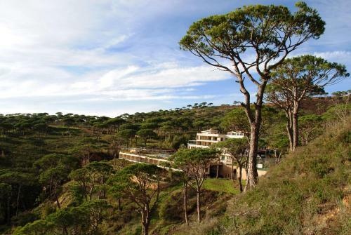 Pineland Hotel And Health Resort
