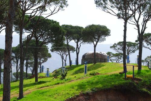 Pineland Hotel And Health Resort