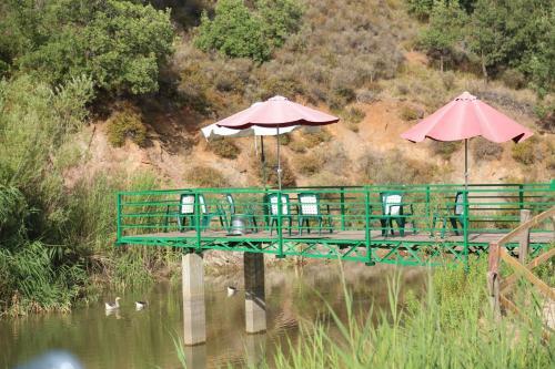 Pineland Hotel And Health Resort