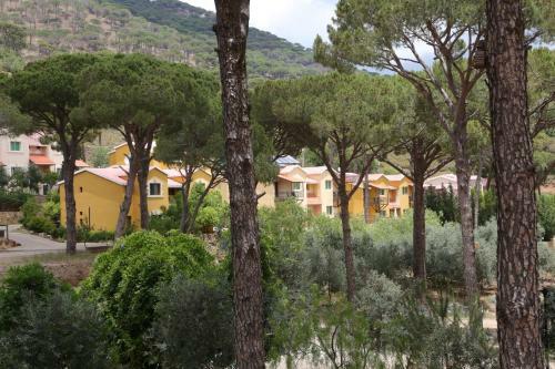 Pineland Hotel And Health Resort