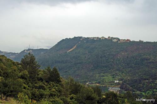 Rovinera Resort