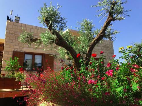 Bed & Breakfast Byout Ghalboun