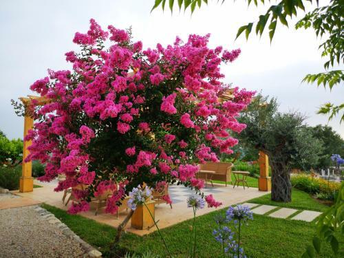 Bed & Breakfast Byout Ghalboun
