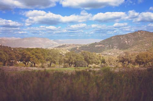 Rancho Tecate Resorts
