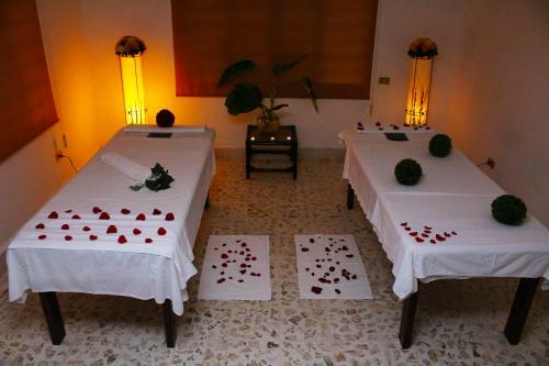Hotel Spa Taninul