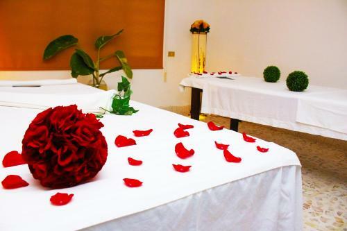 Hotel Spa Taninul