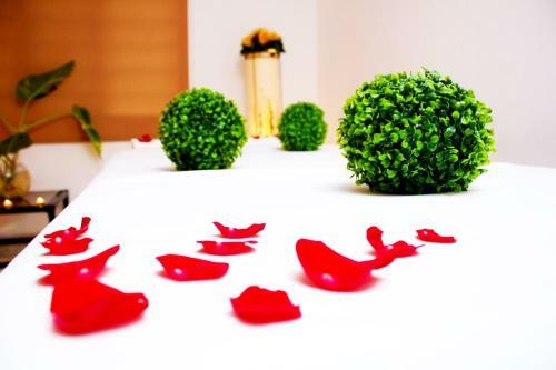 Hotel Spa Taninul