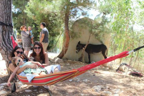 Hostal Ch�teau Sainte-andr�e