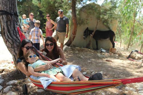 Hostal Ch�teau Sainte-andr�e