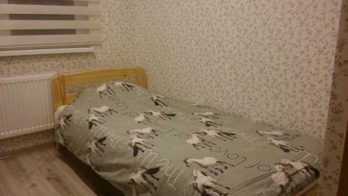 Hostal Centra House