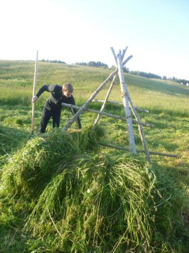 Agroturismo R??i