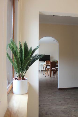 Hostal Villa Neubad