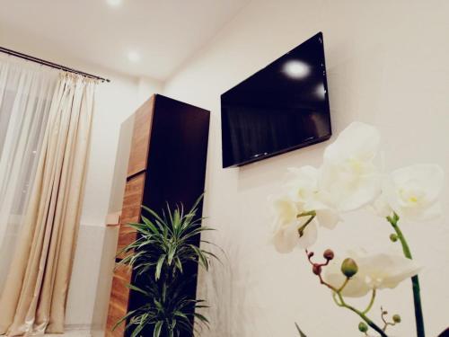 Hostal Lauvas L?cis