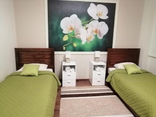 Hostal Lauvas L?cis