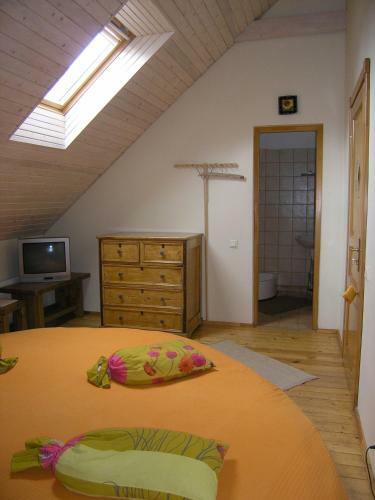 Hostal ?o?u Dzirnavas