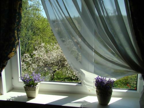 Dana Guest House