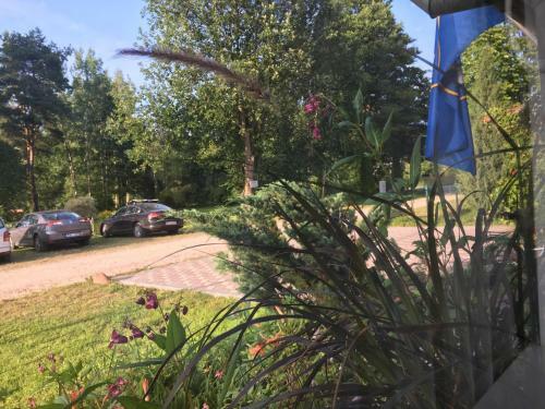 Dana Guest House