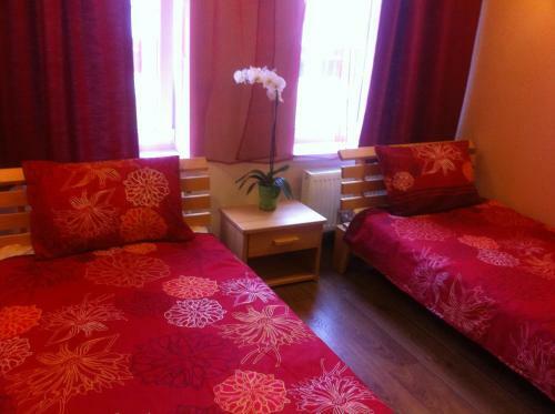 Hostal Guest House - Cafe Liepas