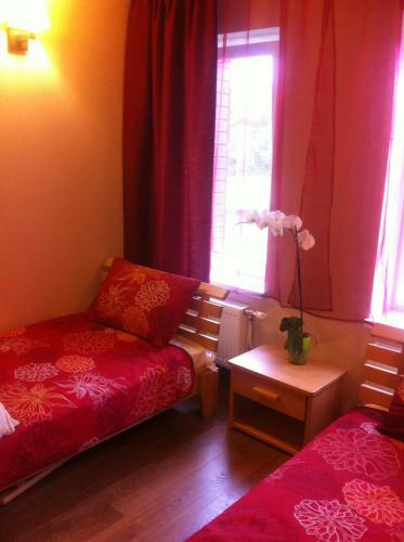 Hostal Guest House - Cafe Liepas