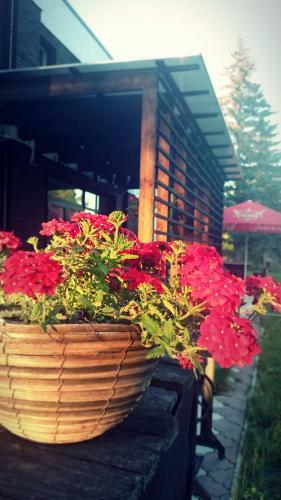 Hostal Guest House - Cafe Liepas