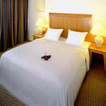 Hotel Domicil