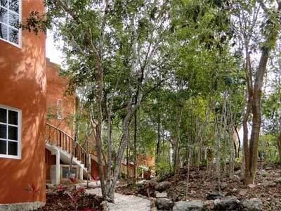 Eco-hotel Nueva Altia