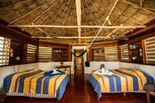 Costa De Cocos