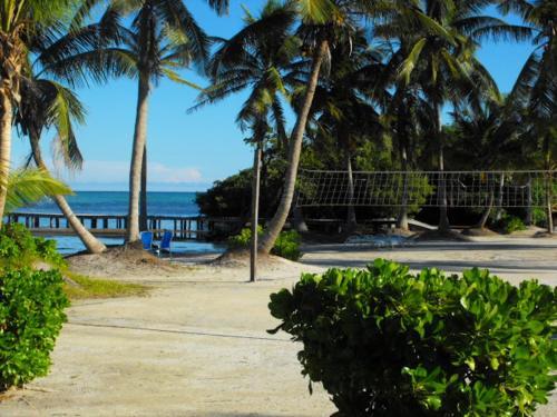 Costa De Cocos